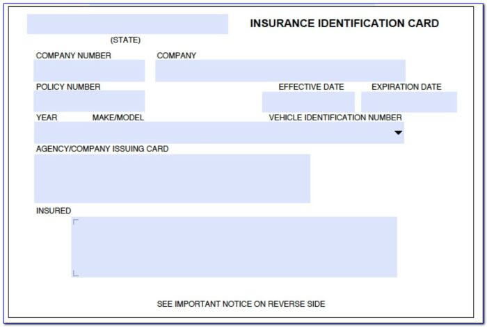 Progressive Proof Of Insurance Card Template