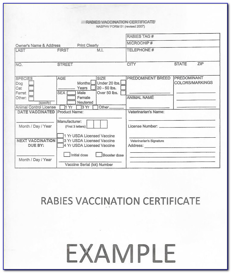Rabies Vaccination Certificate Template