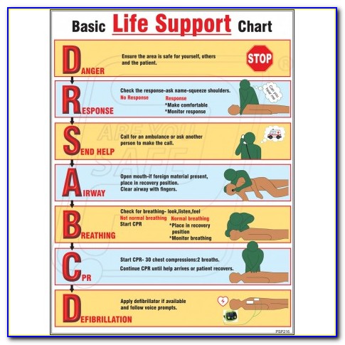 What Is Bls Certification Required