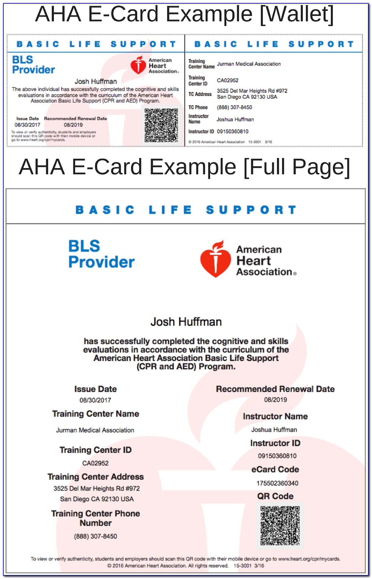 American Heart Association Bls Provider Cpr Certification