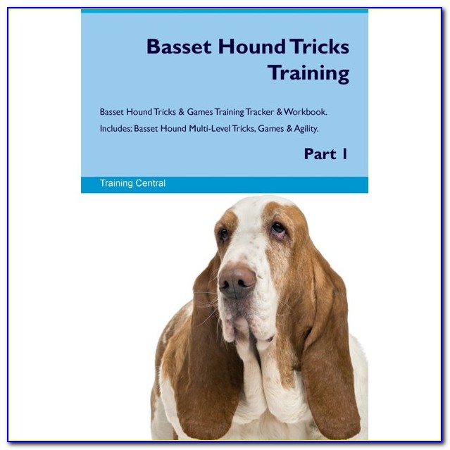 Basset Certification Search