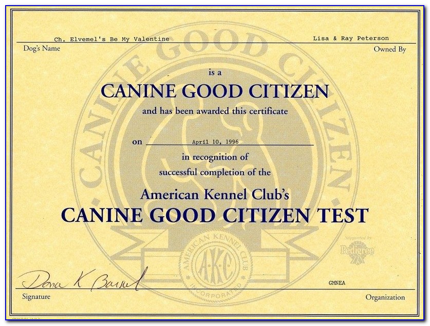 Canine Good Citizen Certificate Benefits