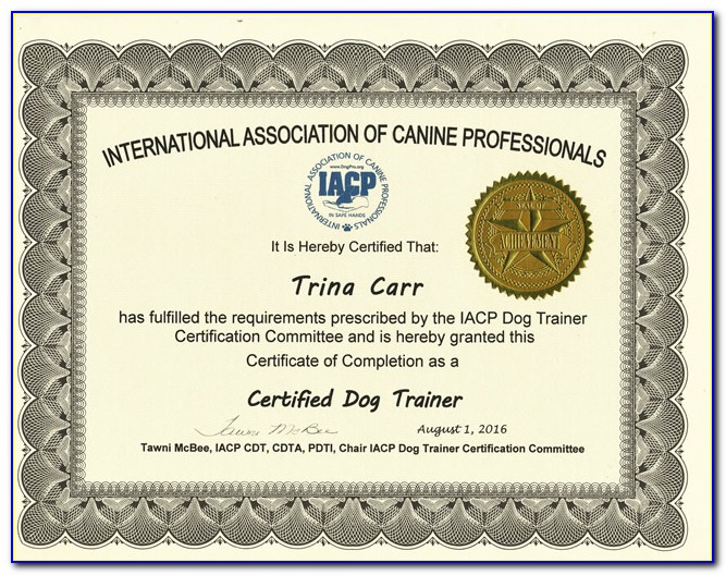 Certification Council For Professional Dog Trainers (ccpdt)