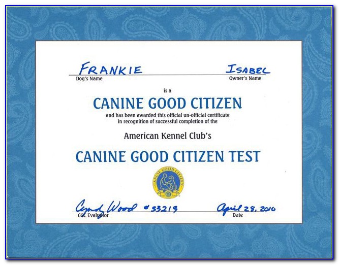 How To Get Canine Good Citizen Certificate