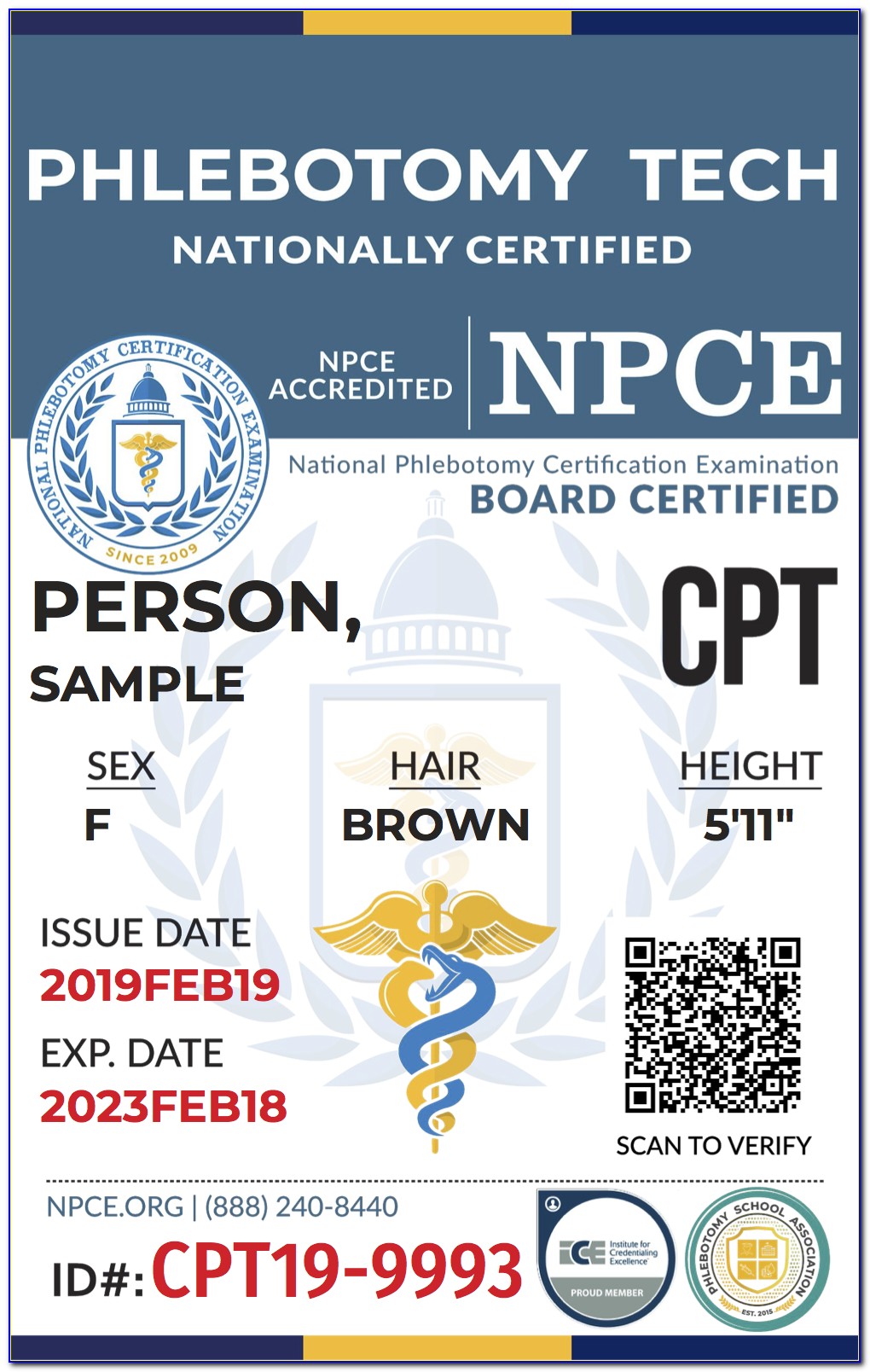 National Phlebotomy Certification Exam Cost