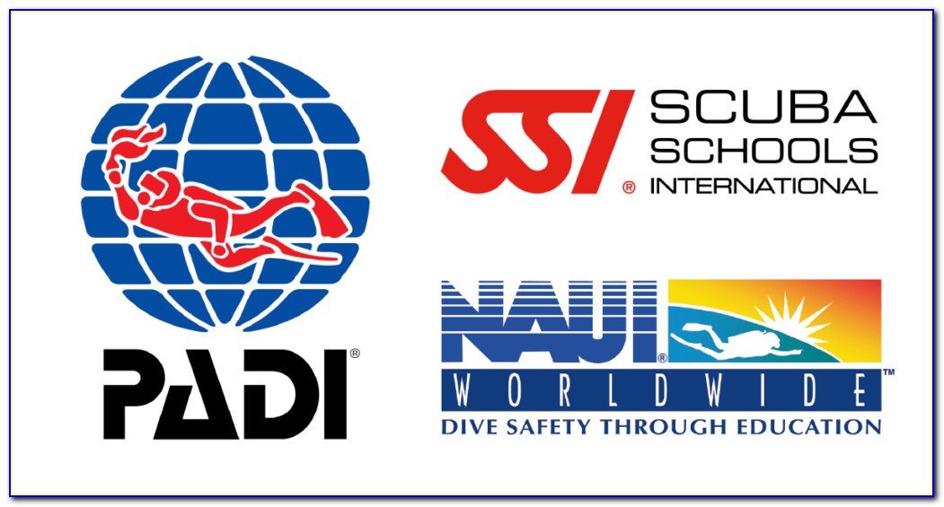 Naui Dive Certification Search