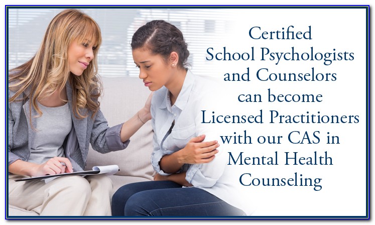 Ny School Counseling Certification