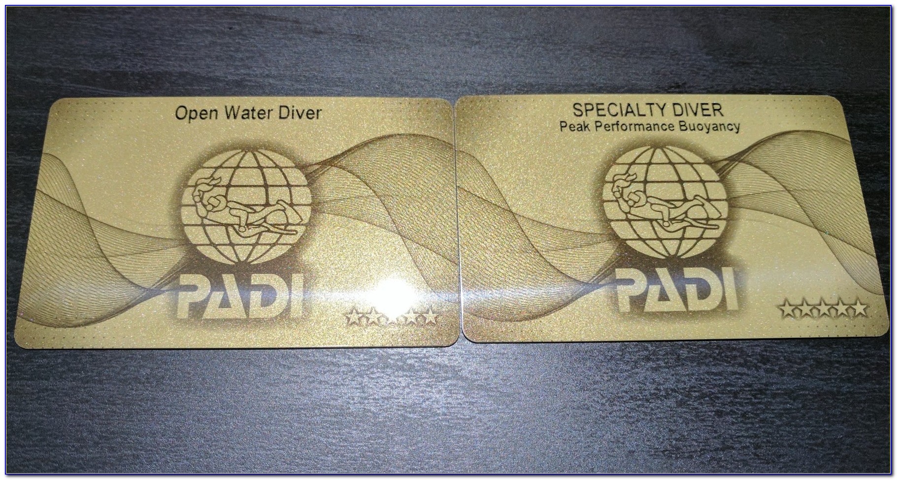 Padi Open Water Certification Nyc