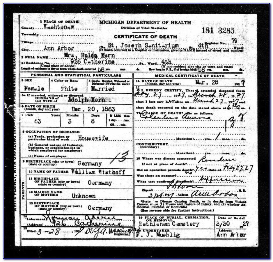 Washtenaw County Mi Birth Certificates
