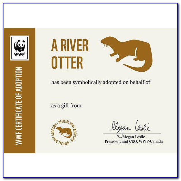 What Does The Wwf Adoption Certificate Look Like