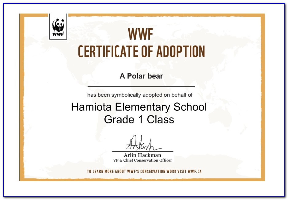 Wwf Personalized Adoption Certificate