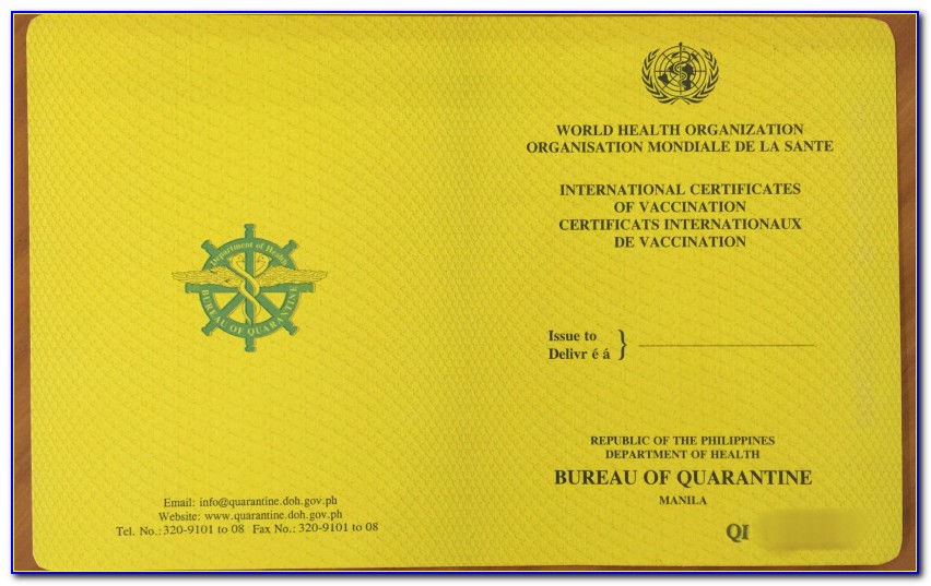 Yellow Fever Certificate Requirements
