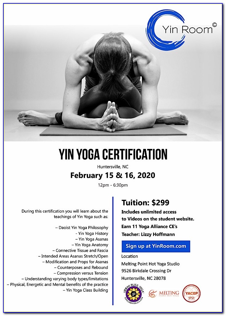 Yin Yoga Certification Florida