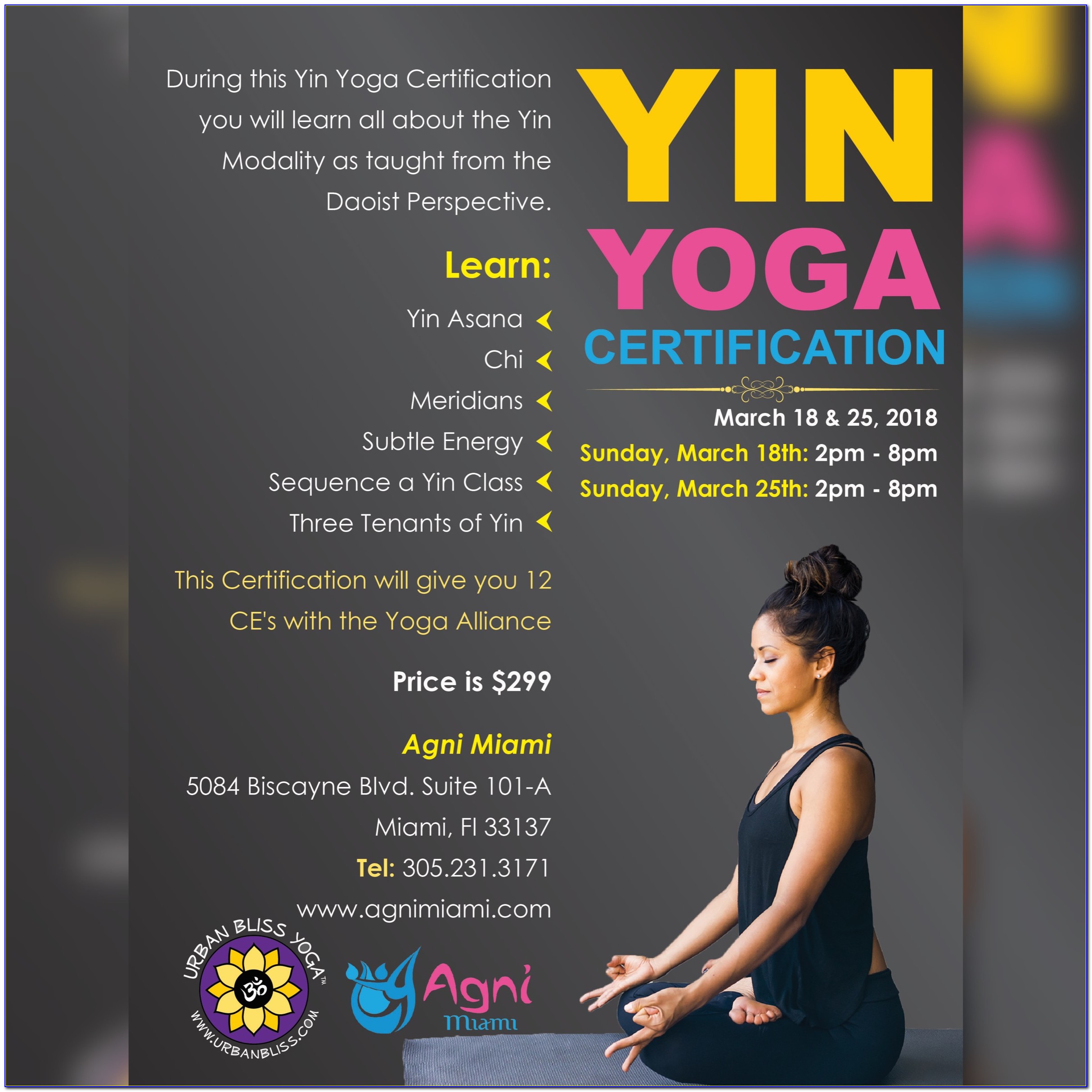 Yin Yoga Certification Online