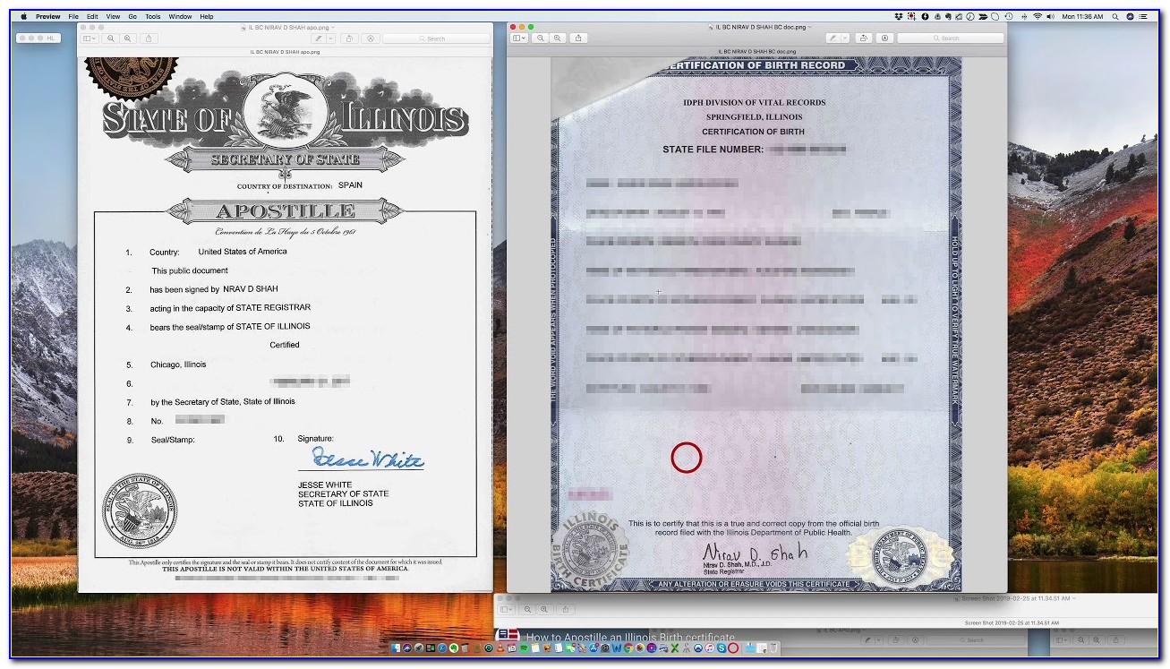 Apostille Birth Certificate Wisconsin