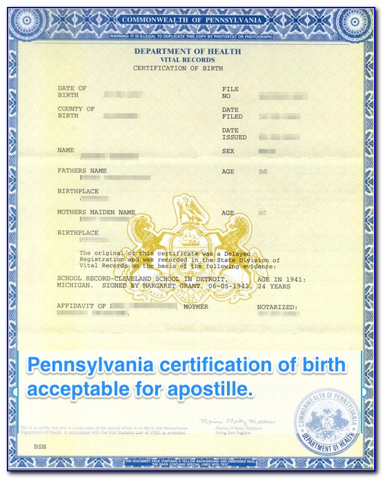 Attach Apostille Record Certificate