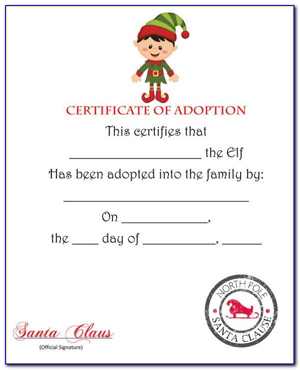 Cat Adoption Certificate Template Free