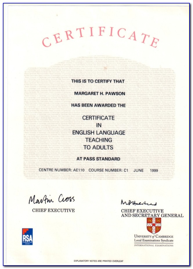 Celta Certified English Teacher