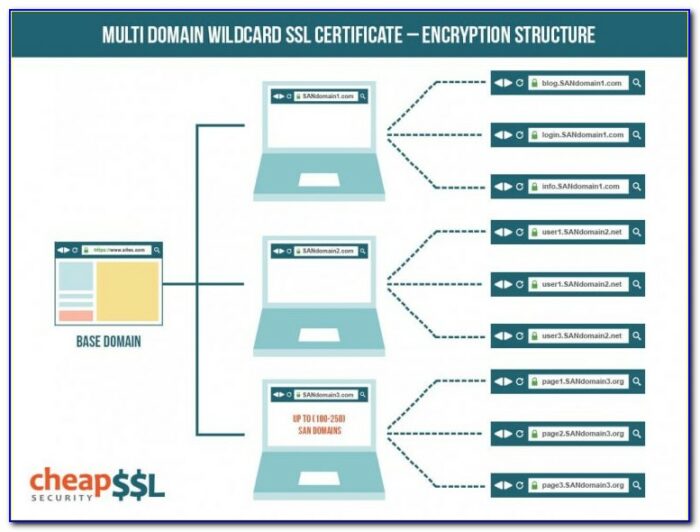 Comodo Multi Domain Wildcard Ssl Certificate