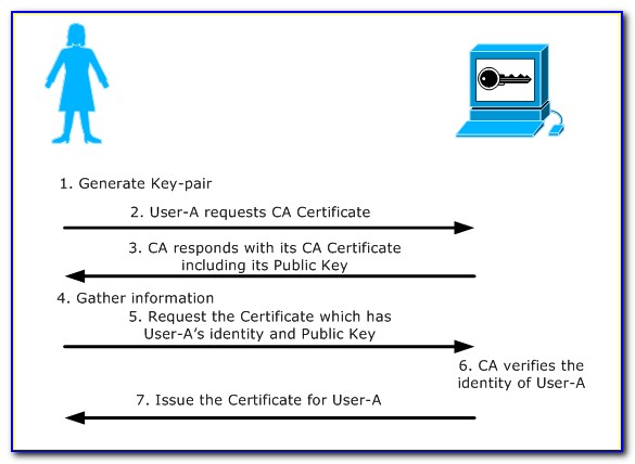 Digital Certificates For Dummies