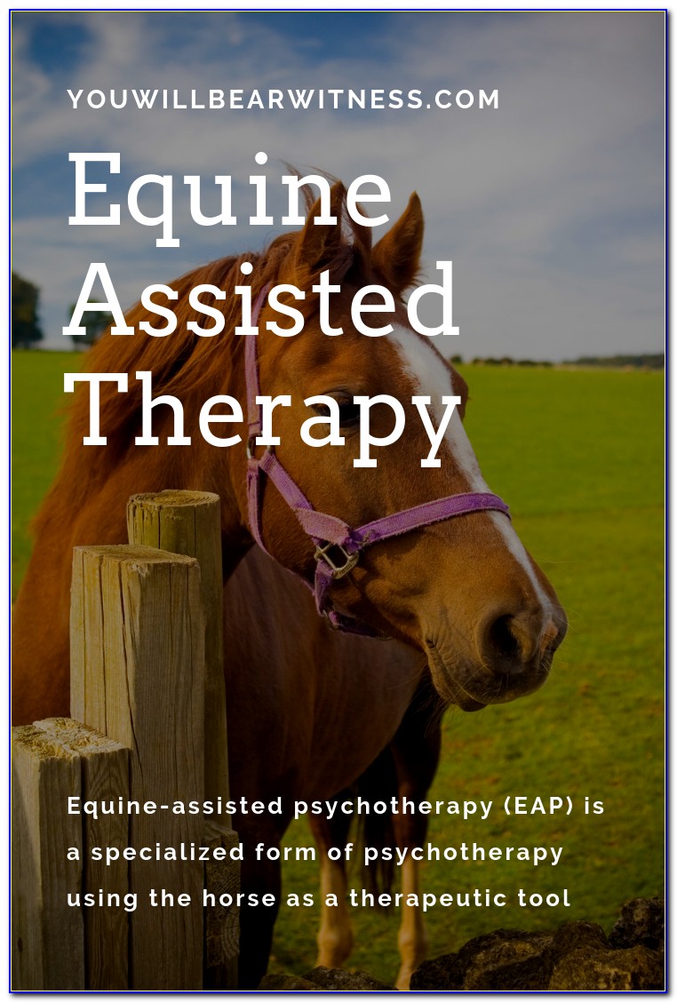 Equine Assisted Psychotherapy Certification