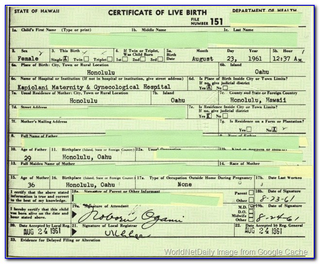 Hi Birth Certificate