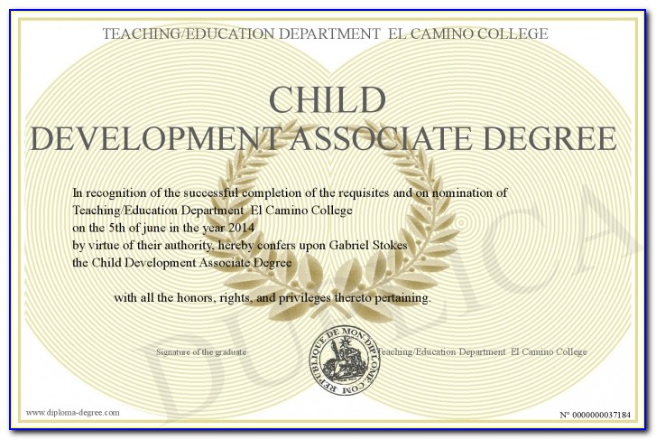 Infant Toddler Child Development Associate (cda) Certificate