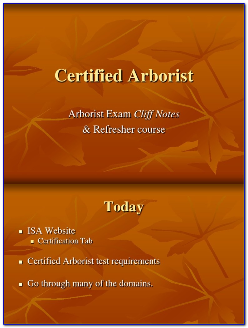 Isa Certified Arborist Practice Test