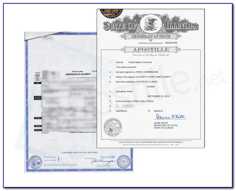 Kane County Illinois Birth Certificate