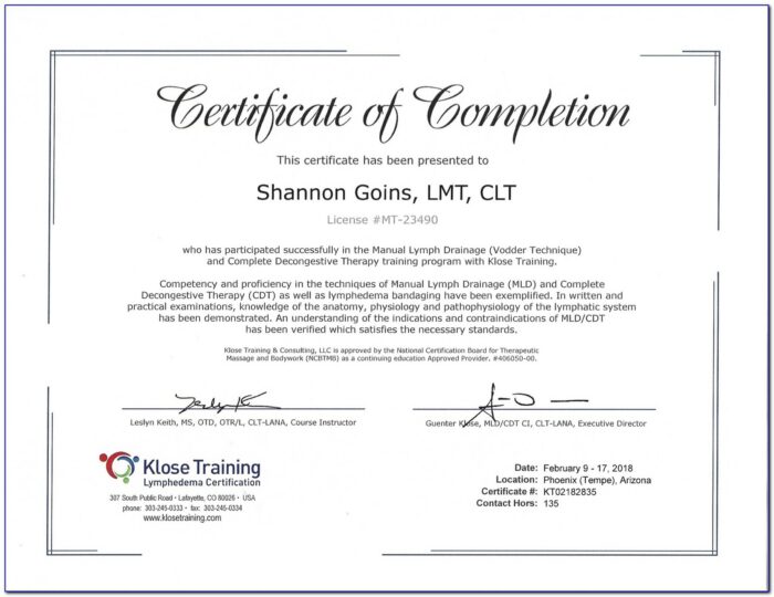 Lymphatic Drainage Massage Certification Online