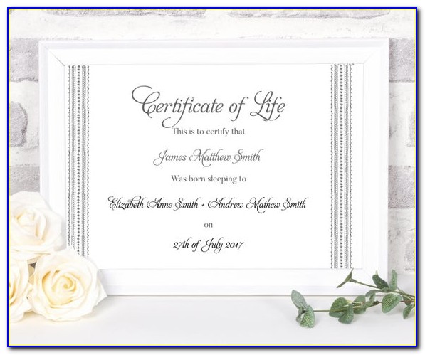 Miscarriage Death Certificate