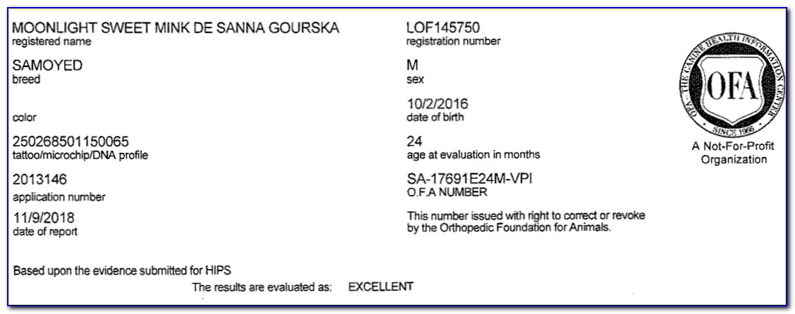 Ofa Hip Certification Form