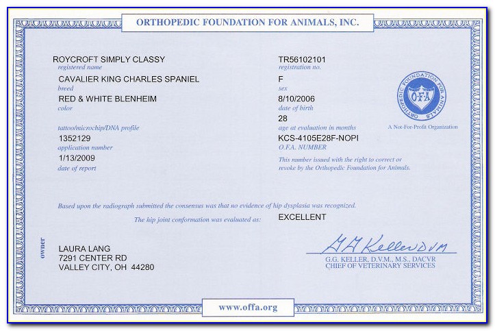 Ofa Hip Certified