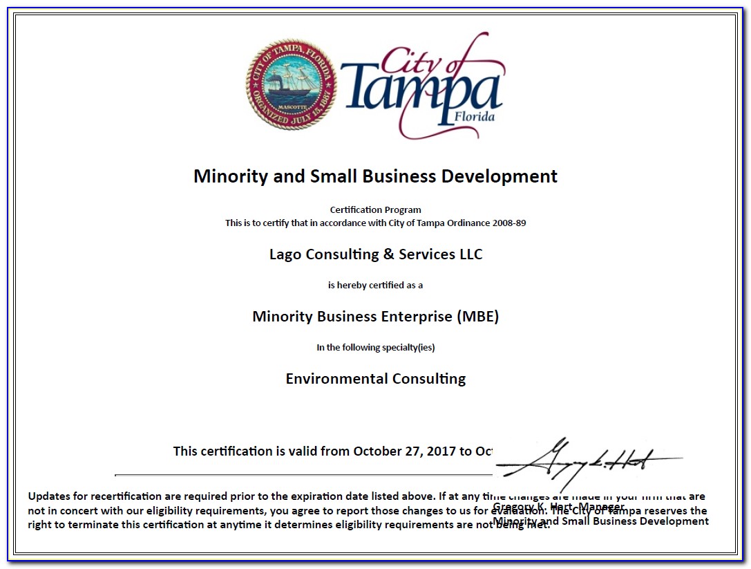 Pmp Certification Training Tampa Fl