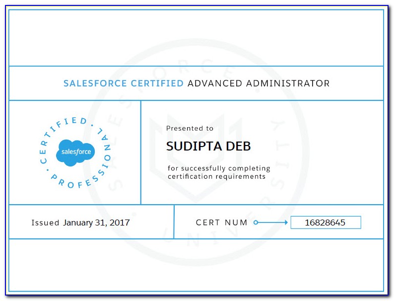 Salesforce Admin Certification Sample Exam