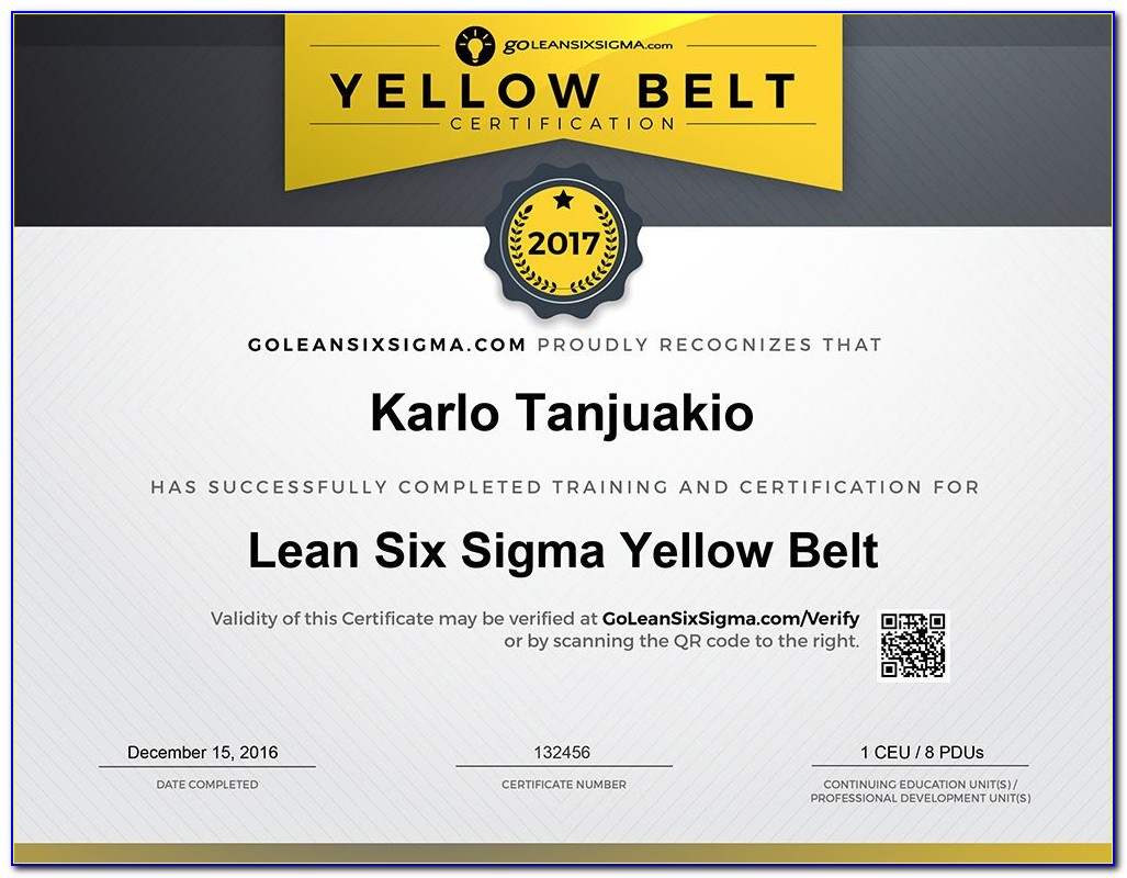 Six Sigma Or Lean Certification