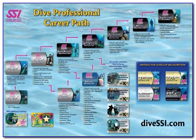 Ssi Dive Certification Lookup