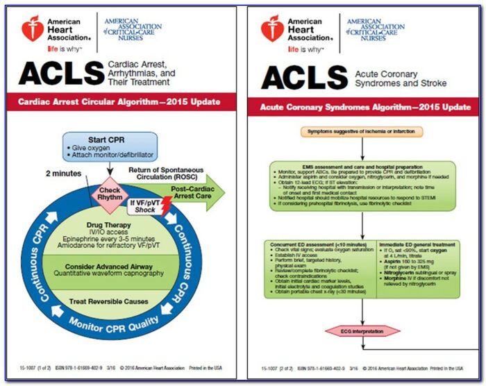 American Heart Association Acls Pals Certification