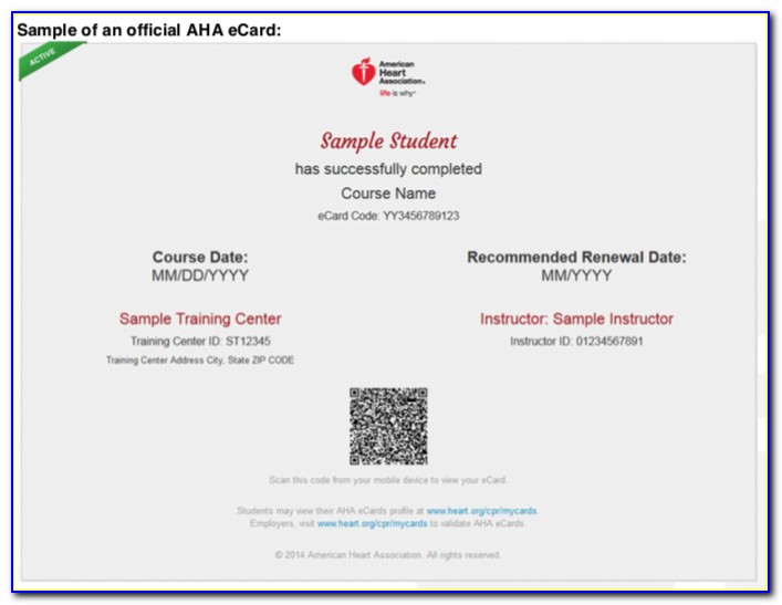 American Heart Association Bls Instructor Program