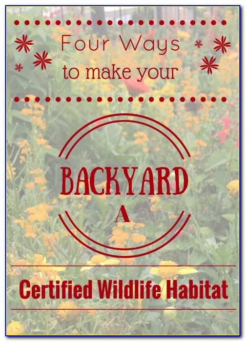 Audubon Backyard Habitat Certification Program