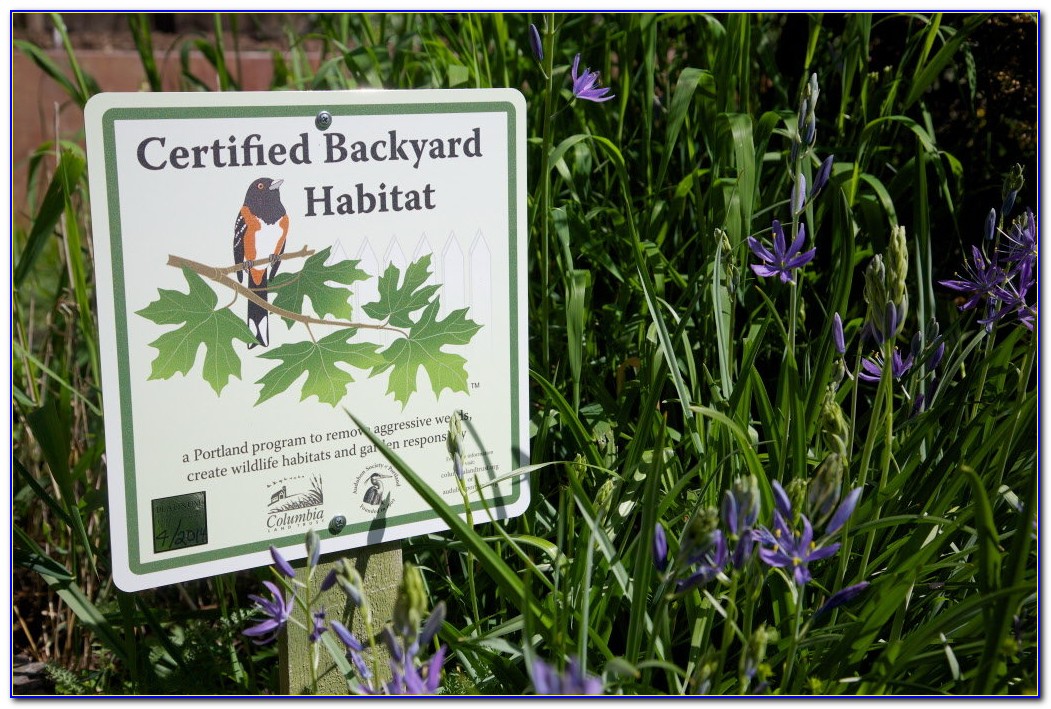 Backyard Habitat Certification Criteria