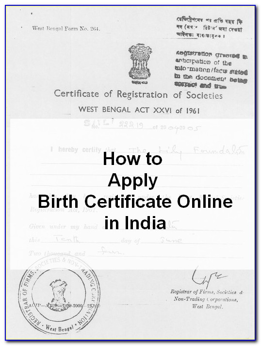 Birth Certificate Protective Cover