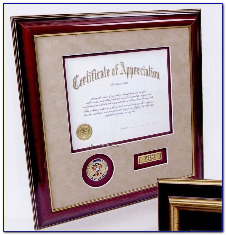Certificate Frame With Challenge Coin Holder