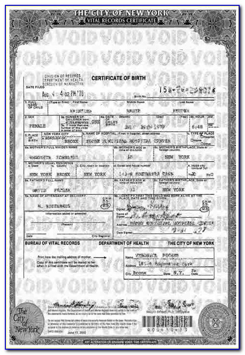 City Hall Bronx Ny Birth Certificate