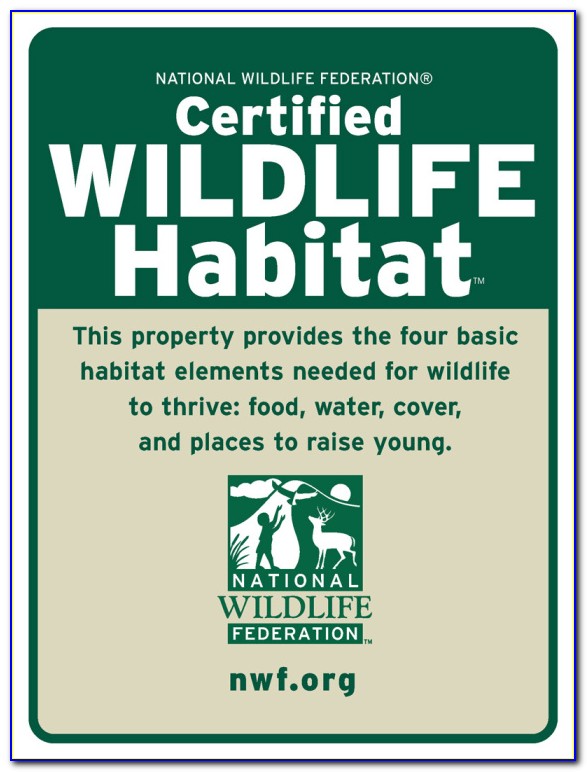 Nwf Backyard Habitat Certification