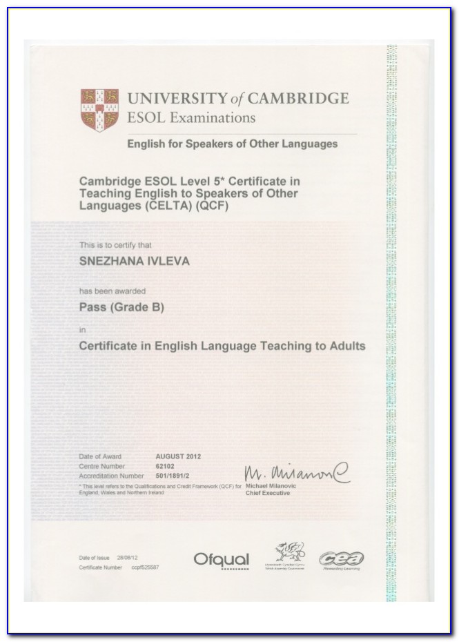 Online Tesol Certificate University