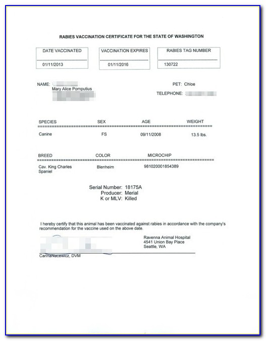 Rabies Certificate Format