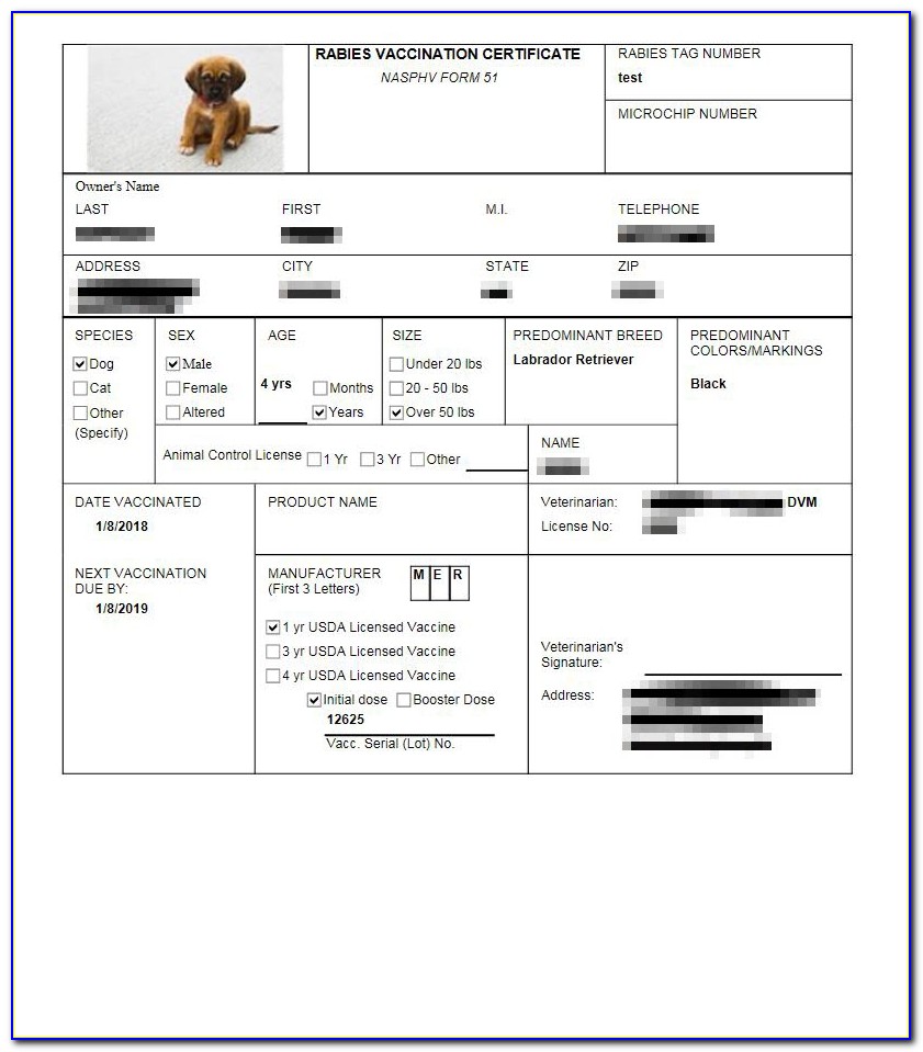 Rabies Vaccination Certificate Form 51