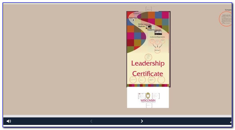 Uw Husky Leadership Certificate