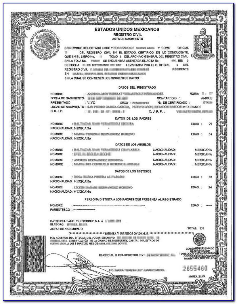 Vietnam Birth Certificate Translation